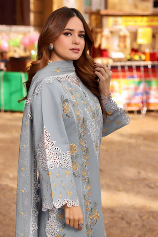 Aneela Brand Dhanak 3PC