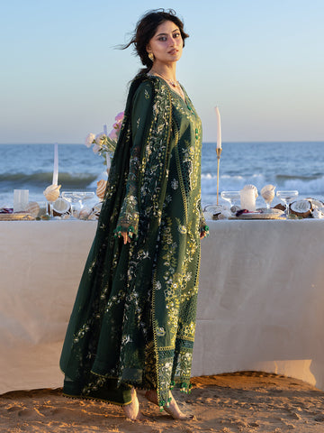 Aneela Brand Dhanak 3PC