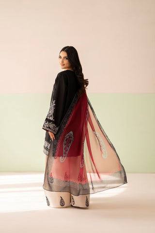 3 PC WINTER DHANAK UNSTITCH